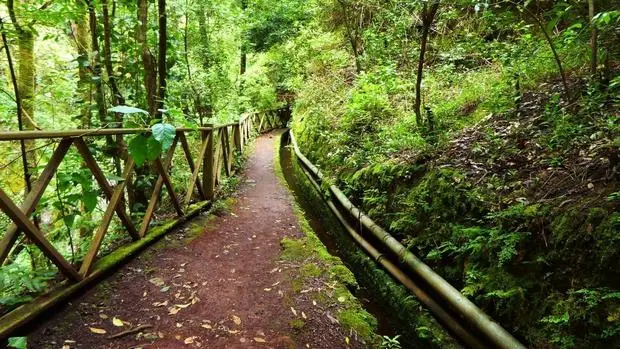 Mejores senderos de La Palma
