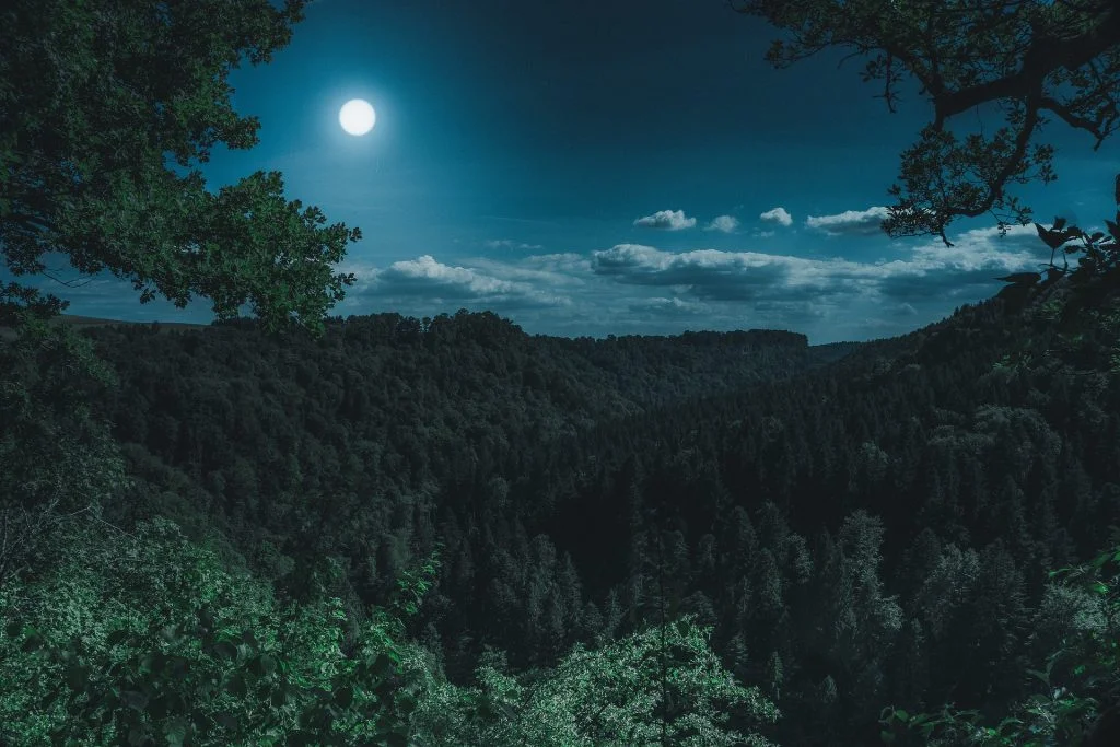 Ver las estrellas en La Palma