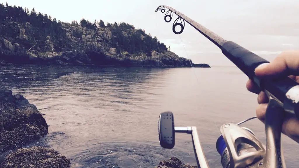 Tiendas de Pesca en La Palma