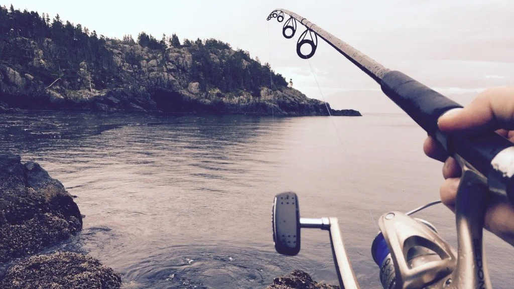 Tiendas de Pesca en La Palma